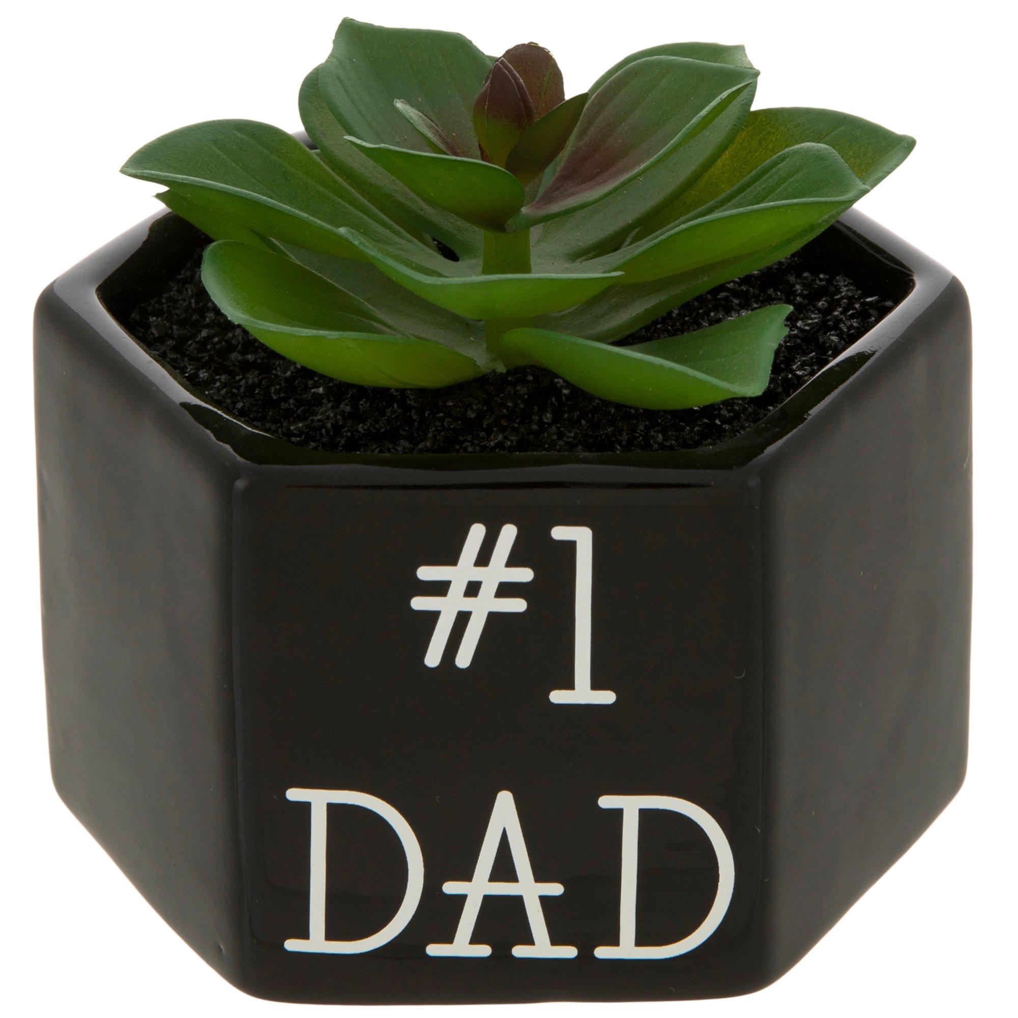 #1 Dad Potted Succulent